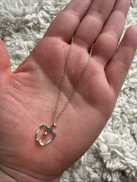 Jewelry - Tiffany Style Apple Necklace